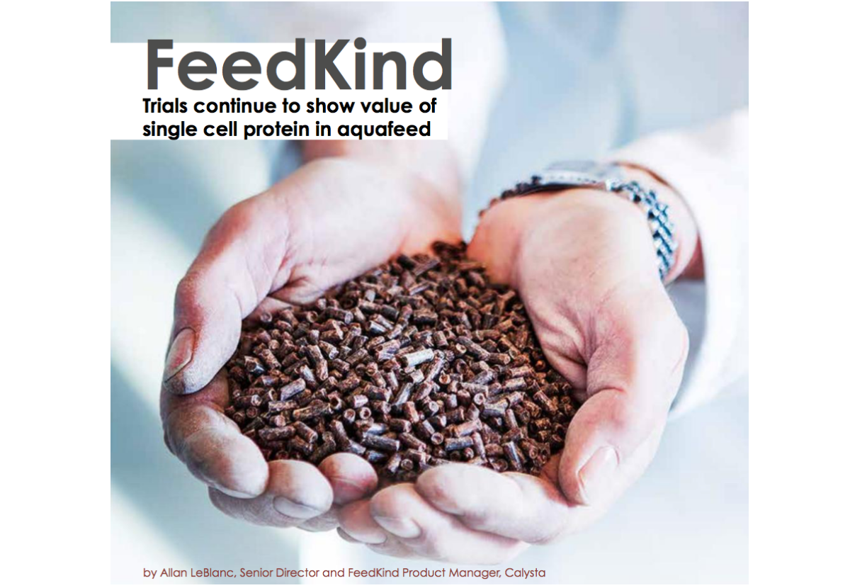 FeedKind, Trials continue to show value of single cell protein in ...