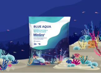 Introducing MinGro+: Less Application, More Performance