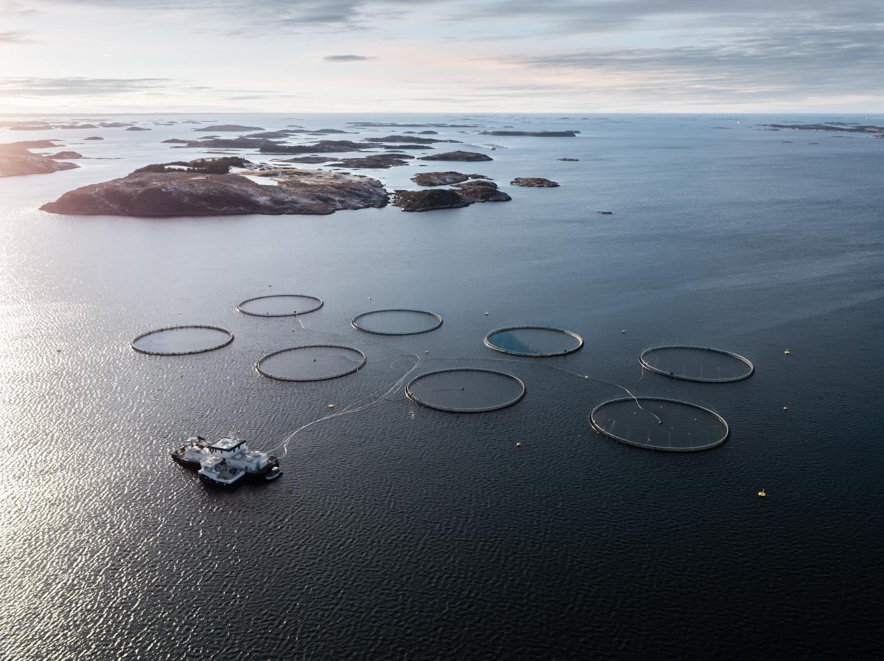 Norcod Norcod grows production capacity with new site in Nordland county ...