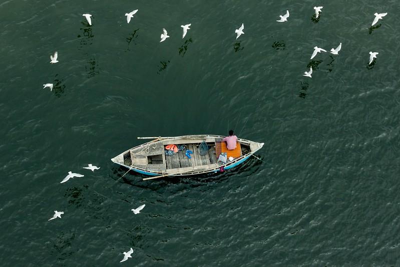 aquaculture