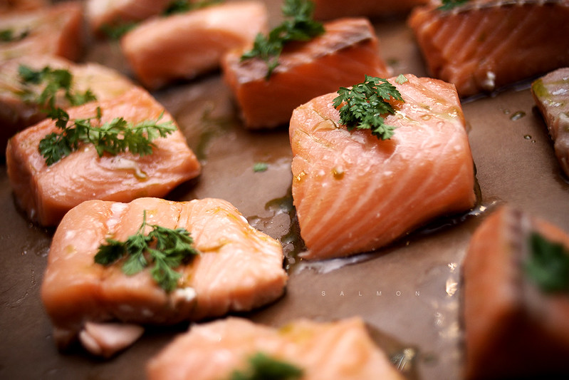 salmon