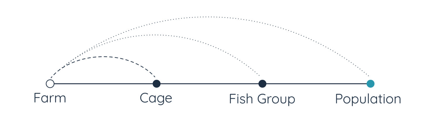 Datad Fish How population tracing transforms fish farming data insights ...