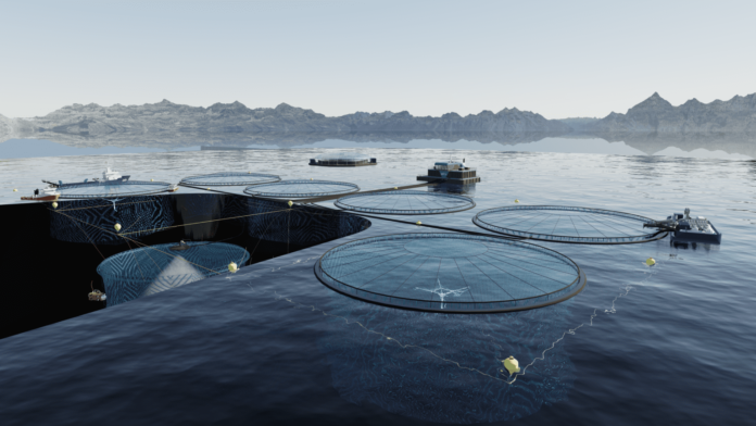 Smir signs contract with Nova Sea for deep farming technology ...