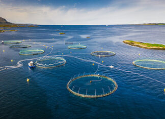 Aquaculture in USA: Advancing a Stable and Diverse Future