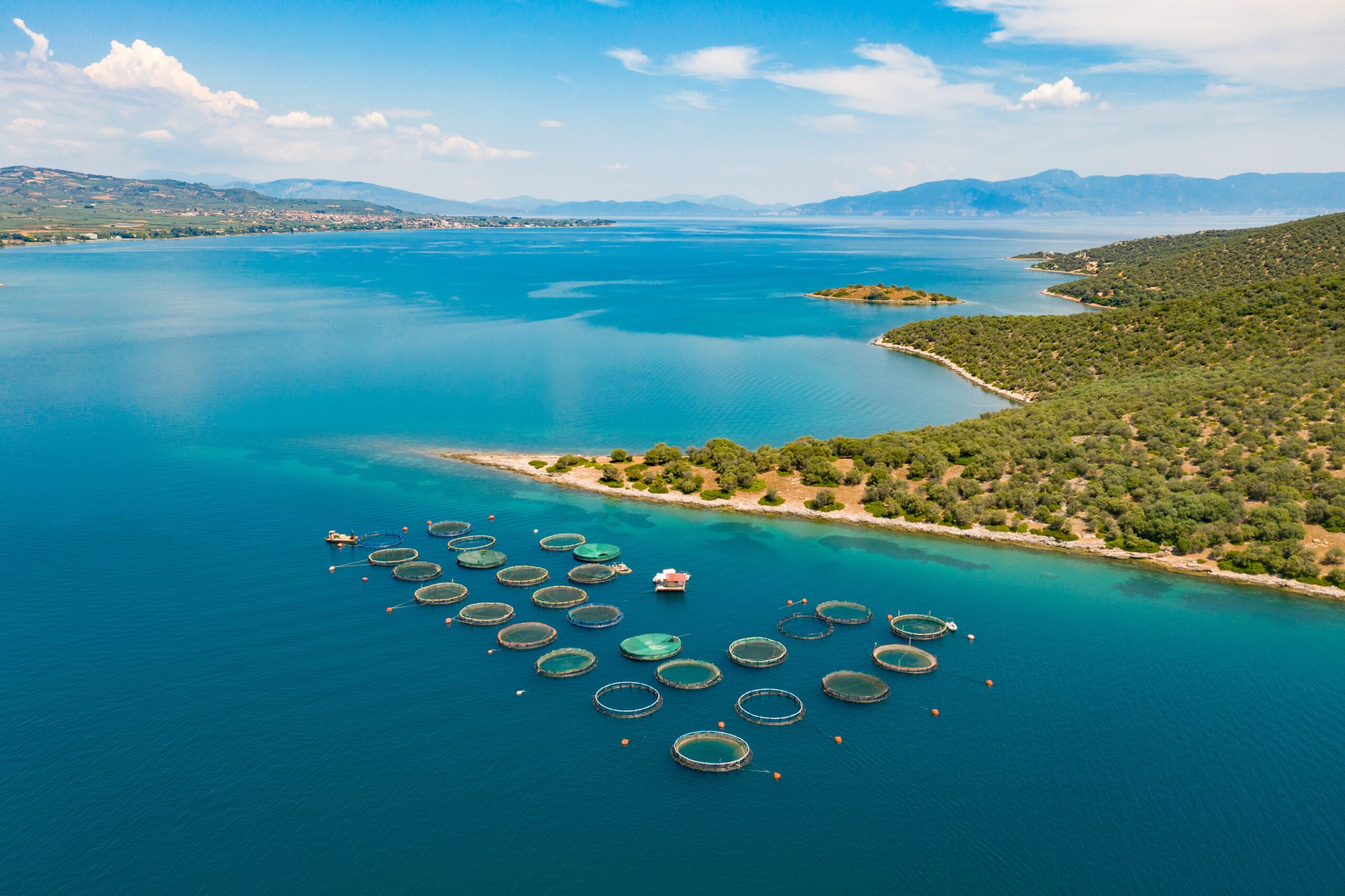 BioMar - International Aquafeed