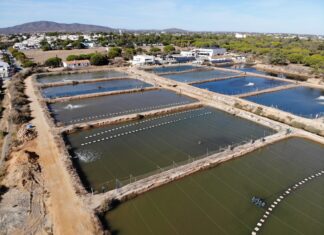 Portuguese Aquaculture : Food Security, Climate Change and the Urgency to Act