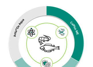 From Gut to Growth : Rethinking Aquafeed for Sustainable Success