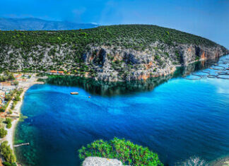 Spotlighting Key Greek Aquaculture Players
