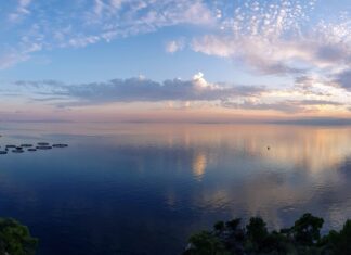 Greek Aquaculture at a Crossroads, From traditional to industrial maturity
