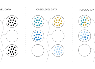From Language Models to World Models, Fish Farming and the Shift in AI