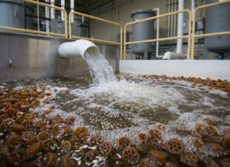 The Biofilter You Didn’t Choose – Part Two, Salinity, the new microbiology and the end of nitrate