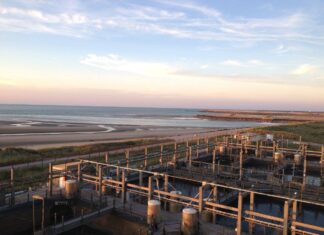 French Seabass and Seabream Farm Achieves ASC Certification