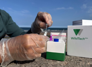 Ultra-Rapid Pathogen Testing Reaches Aquaculture